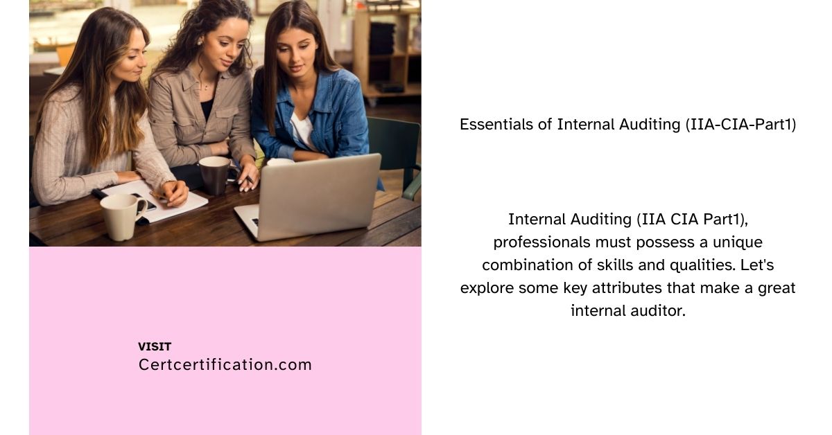 Mastering the Basics: The Essentials of Internal Auditing – Part 1 (IIA-CIA-Part1)